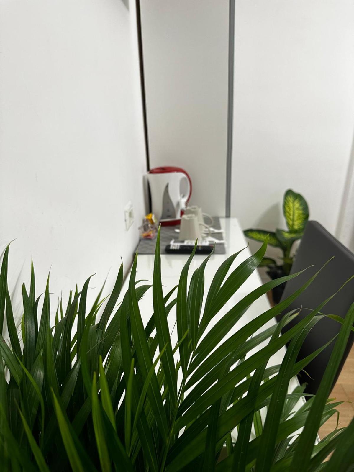 Rome Holiday Guesthouse Gasthuis